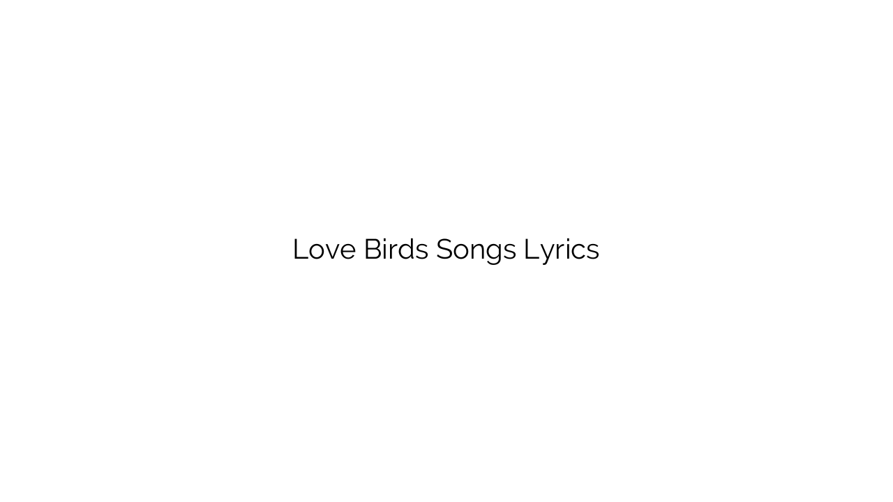 Love Birds Songs Lyrics
